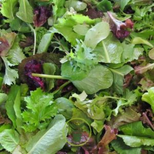 Mesclun